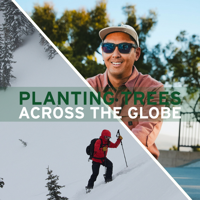 PLANTING TREES ACROSS THE GLOBE