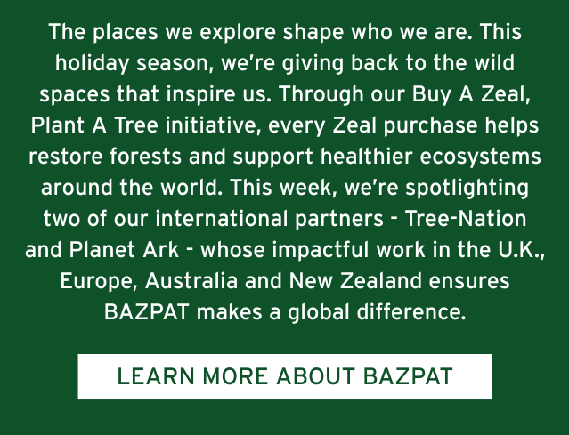 LEARN MORE ABOUT BAZPAT
