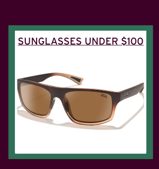 SUNGLASSES UNDER $100
