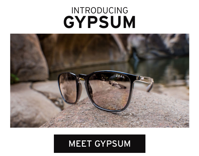 INTRODUCING: GYPSUM