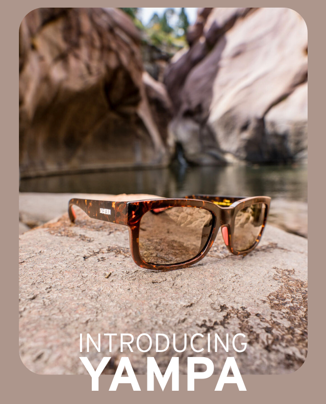 INTRODUCING YAMPA