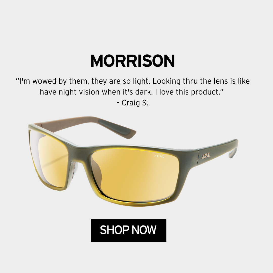 MORRISON
