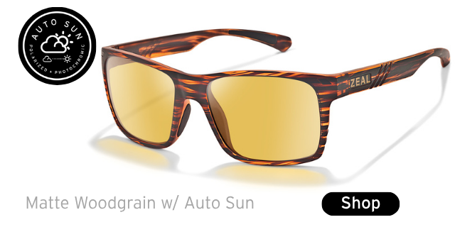 AUTO SUN