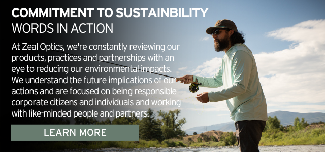 SUSTAINABILITY IN PRACTICE