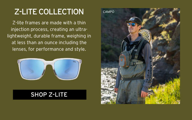 Z-LITE COLLECTION