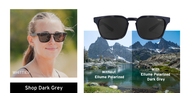 Ellume Polarized Dark Grey