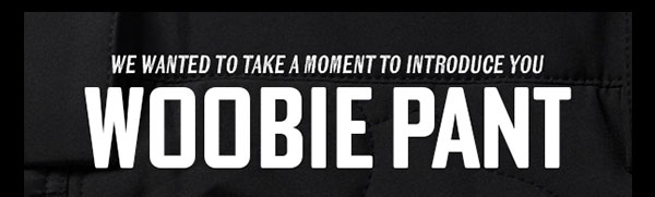 WE WANTED TO TAKE A MOMENT TO INTRODUCE YOU: WOOBIE PANT