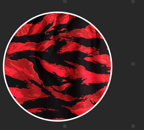 Shop the Red Tiger Stripe ZF Fight Shorts