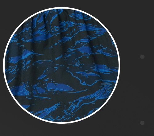 Shop the Blue Tiger Stripe ZF Fight Shorts