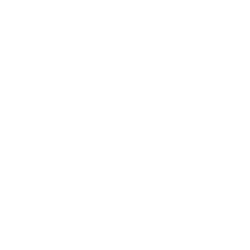 Z Grills