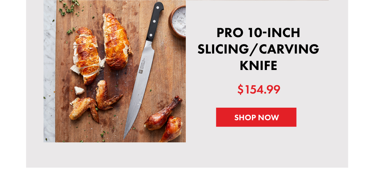 Pro 10-Inch Slicing and Carving Knife