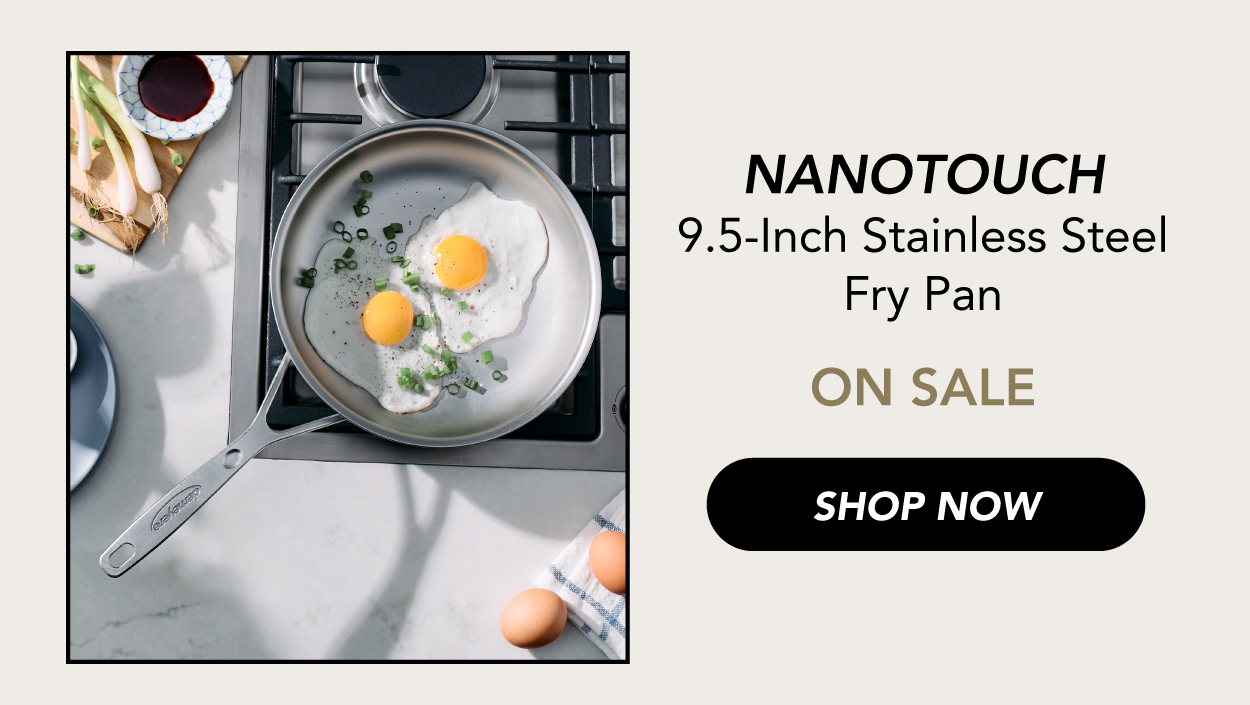 9.5-inch Stainless Steel Fry Pan—Now on sale!
