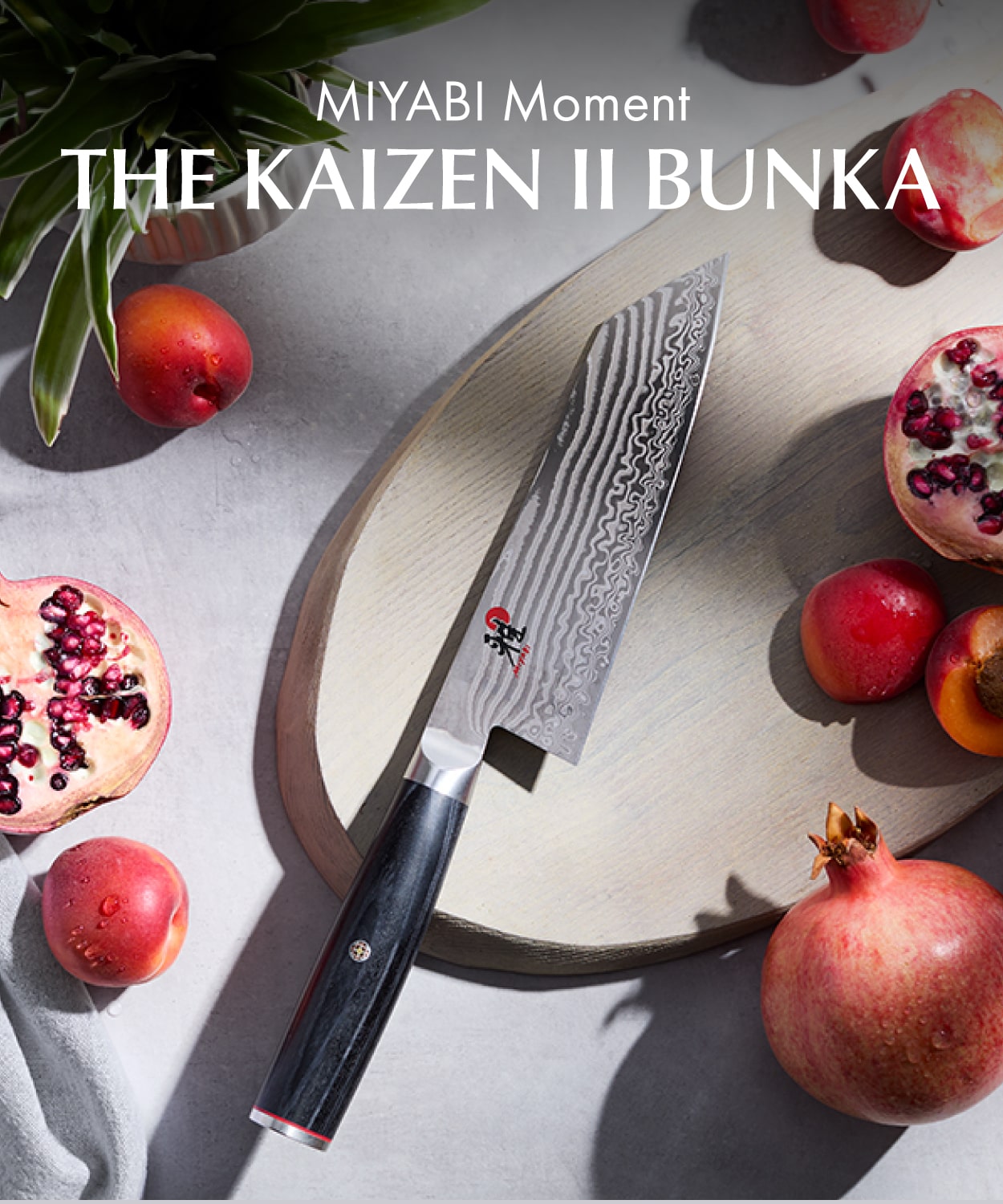 MIYABI Moment: The New Kaizen II Bunka Knife