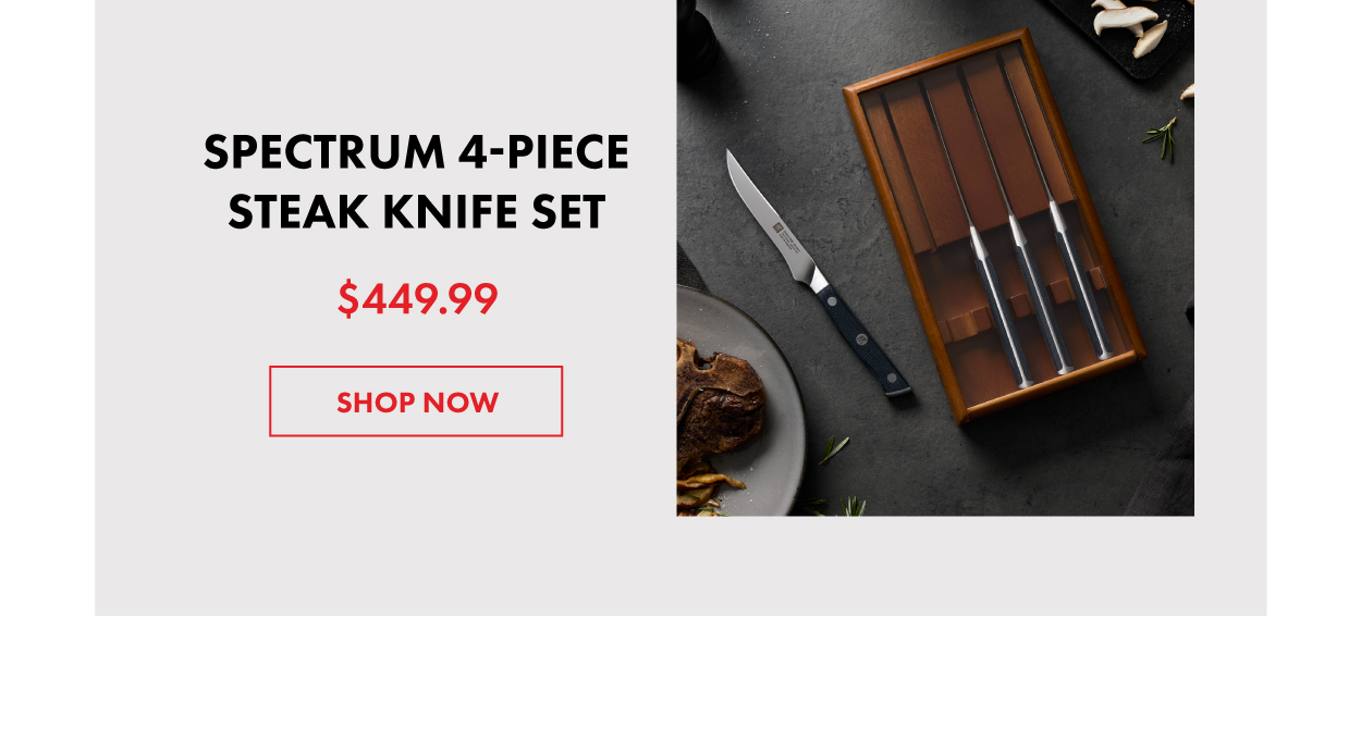 Spectrum Steak Knife Set