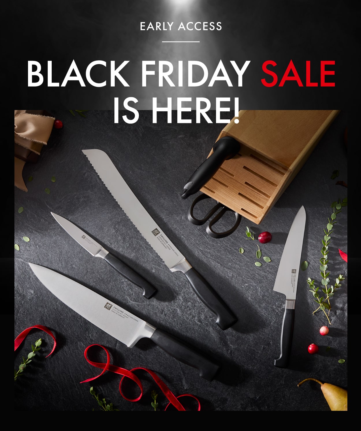 EARLY ACCESS: Black Friday Sale