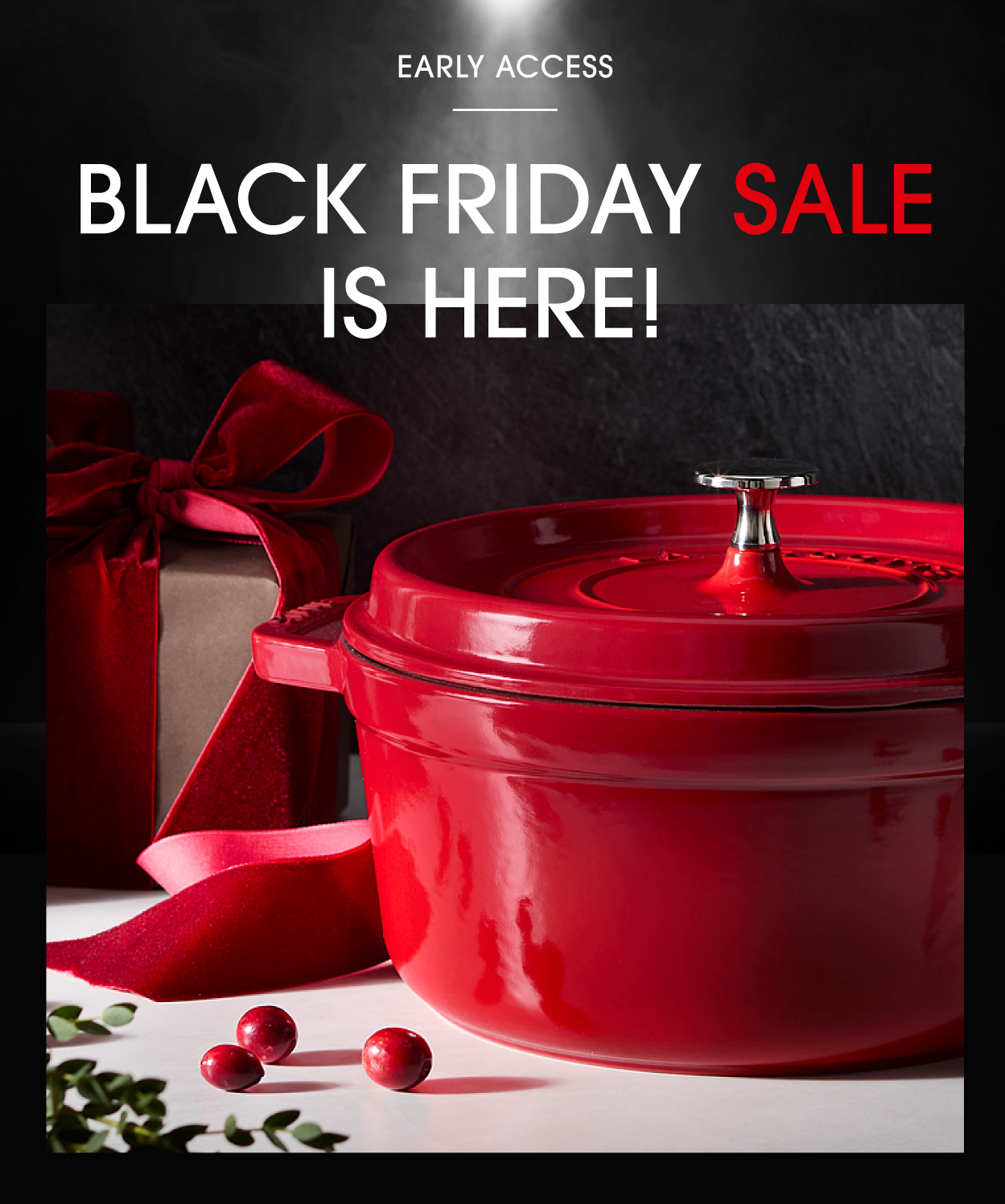 Early Access to STAUB Black Friday just for you.