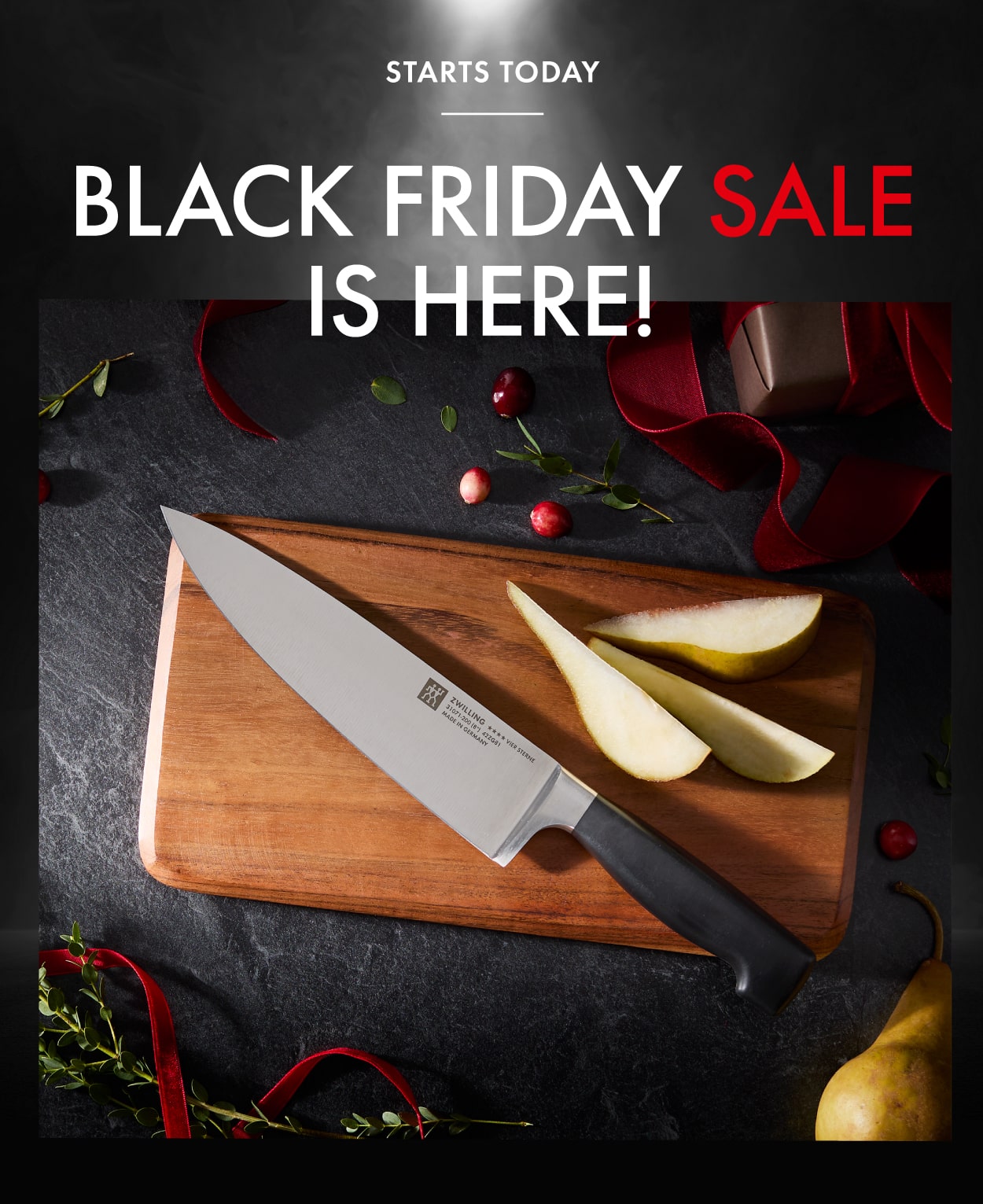 Shop the Black Friday Sale Now!