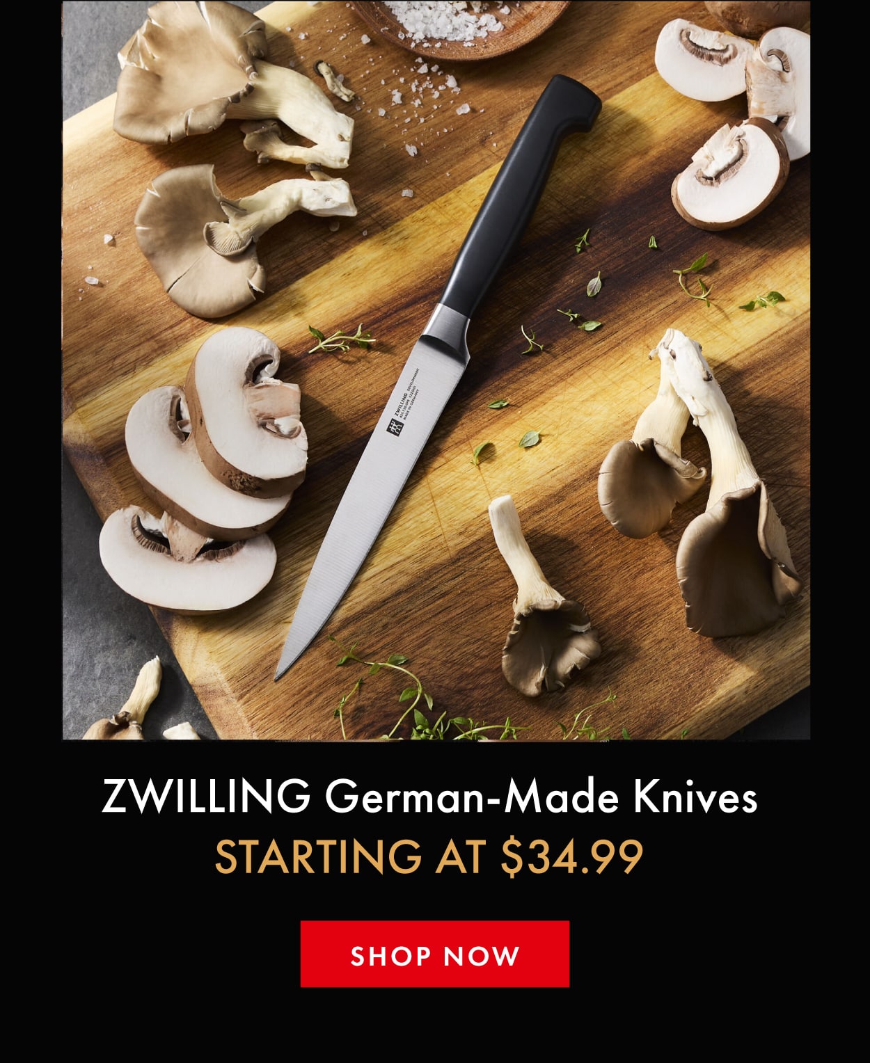 ZWILLING German-Made Knives Starting at $34.99