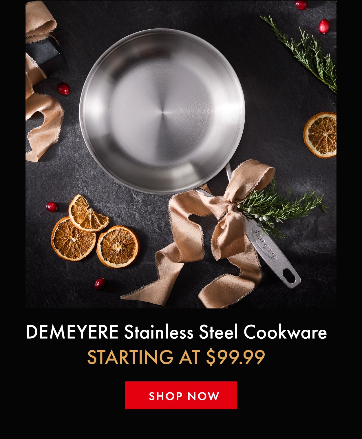 DEMEYERE Stainless Steel Cookware Starting at $99.99