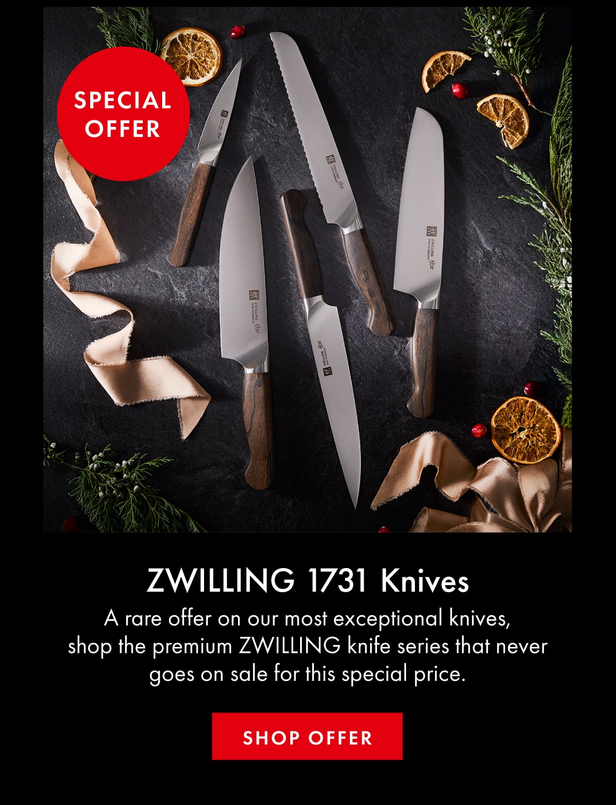 Cyber Week Deal: ZWILLING 1731 Series Special Offer