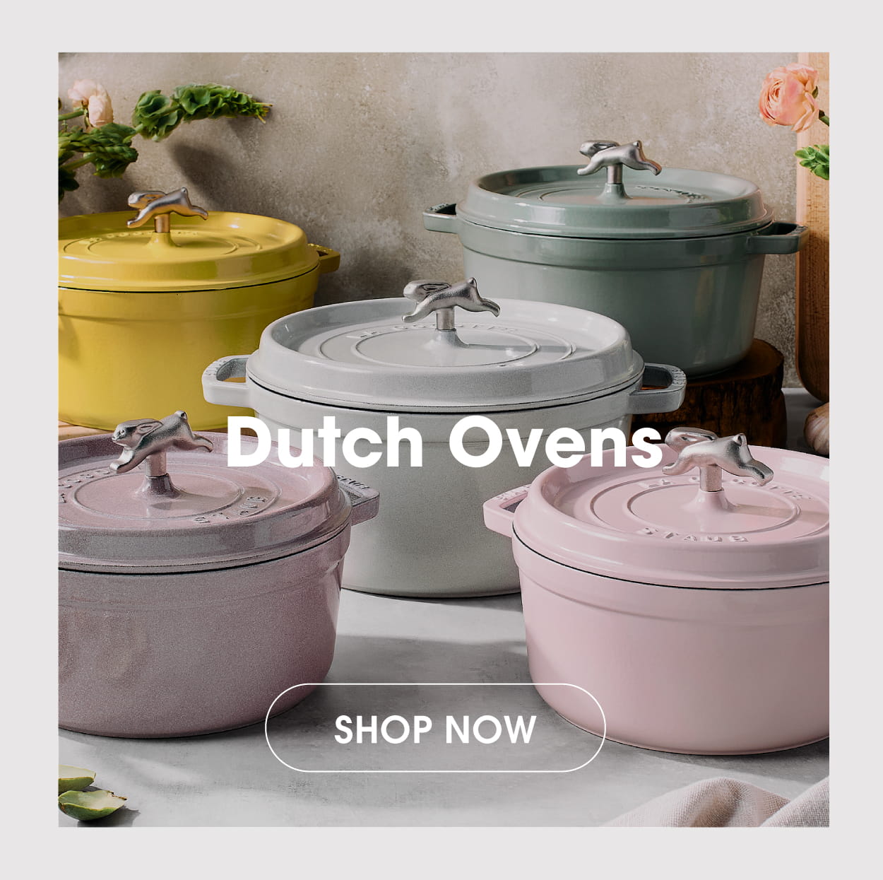 Shop Dutch Ovens Now
