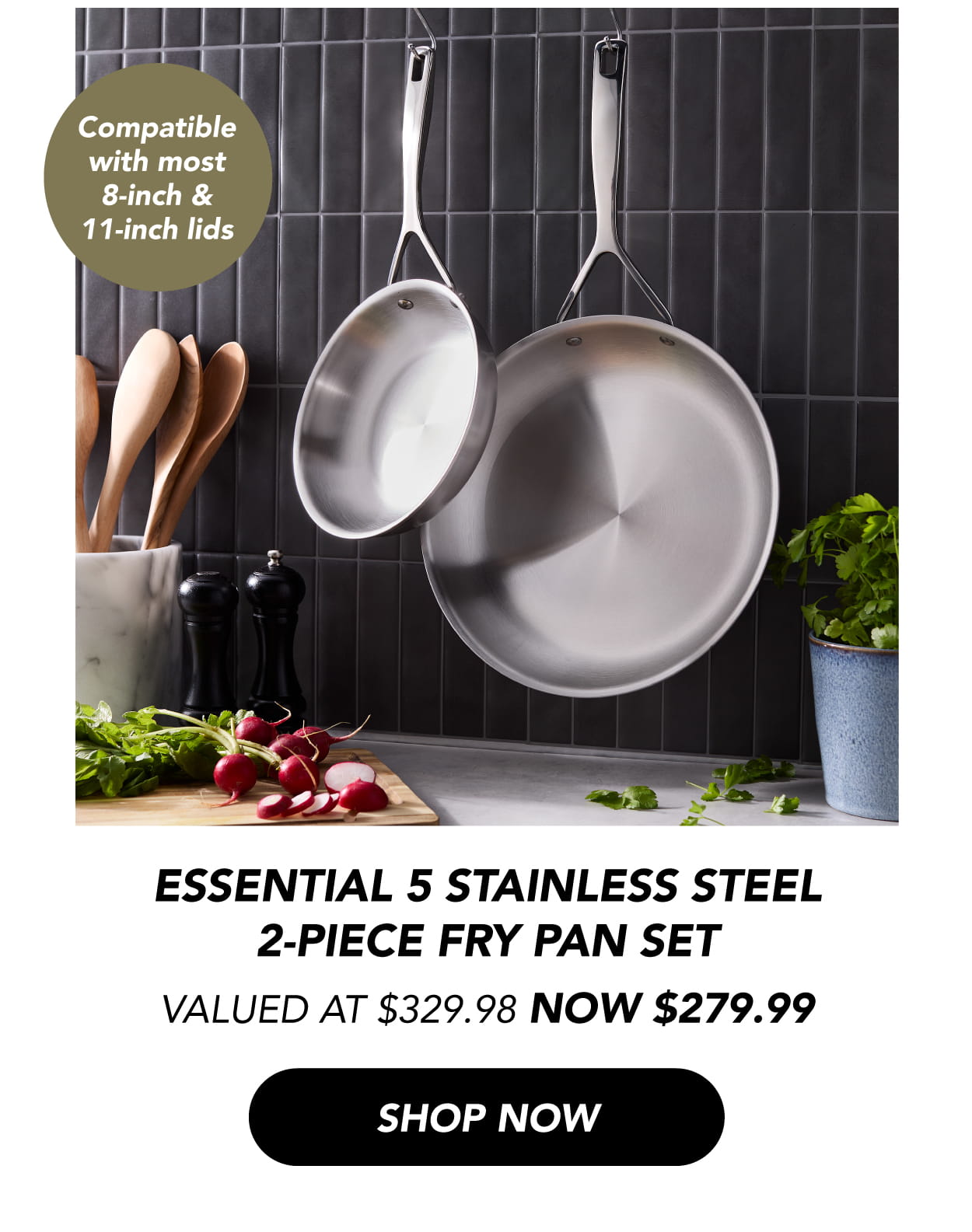 Essential 5 Stainless Steel 2-Piece Fry Pan Set Now $279.99