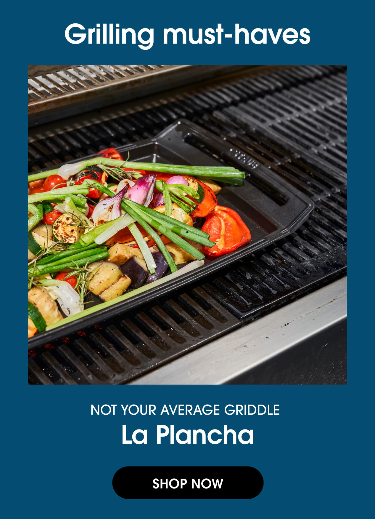 Cast Iron Plancha